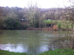 PEG 48 Pictures